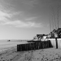 Tableau sur toile plage du Cap Ferret 45x45 cm