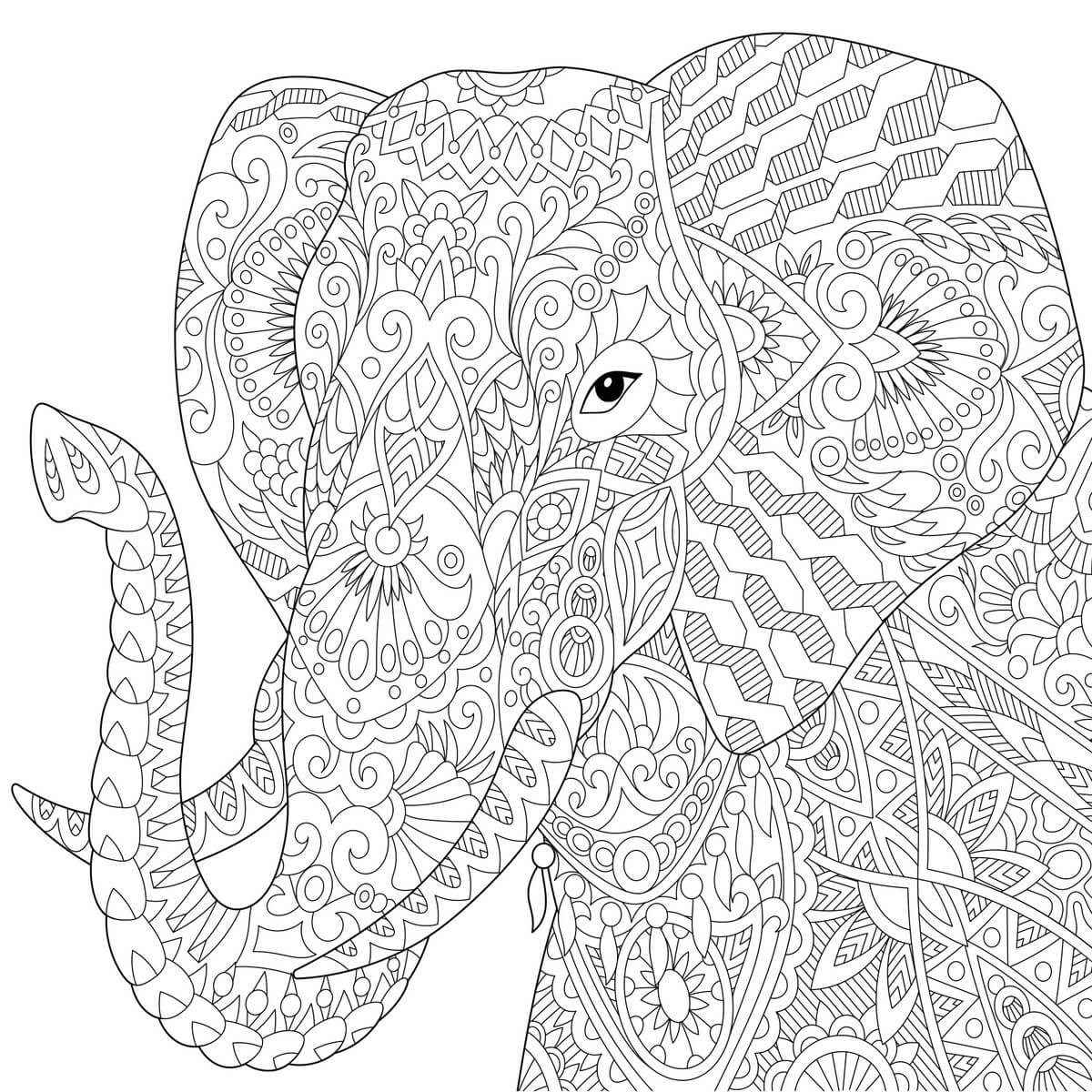 Tableau sur toile à colorier éléphant 30x30 cm