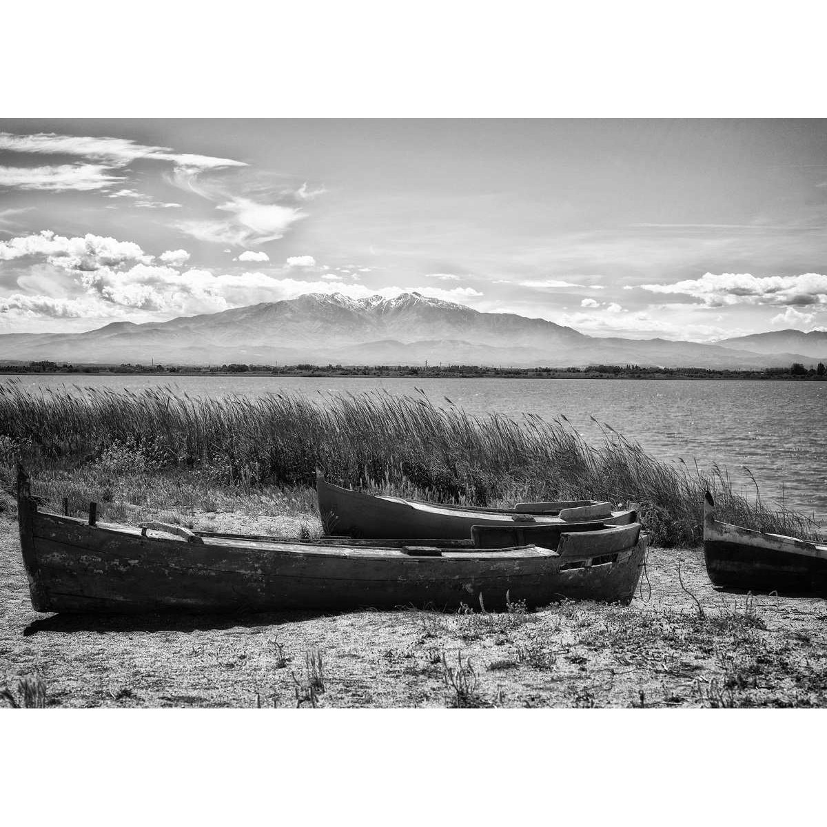 Tableau mural barque devant le Canigou 45x65 cm