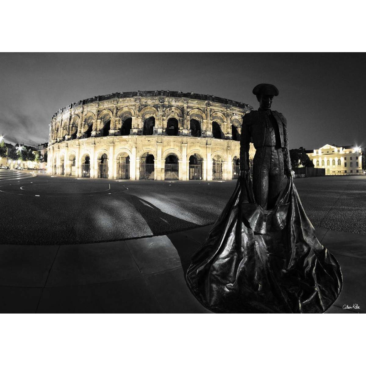 Tableau mural arènes de Nîmes 45x65 cm