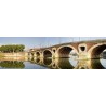 Tableau sur toile pont neuf de Toulouse 30x97 cm