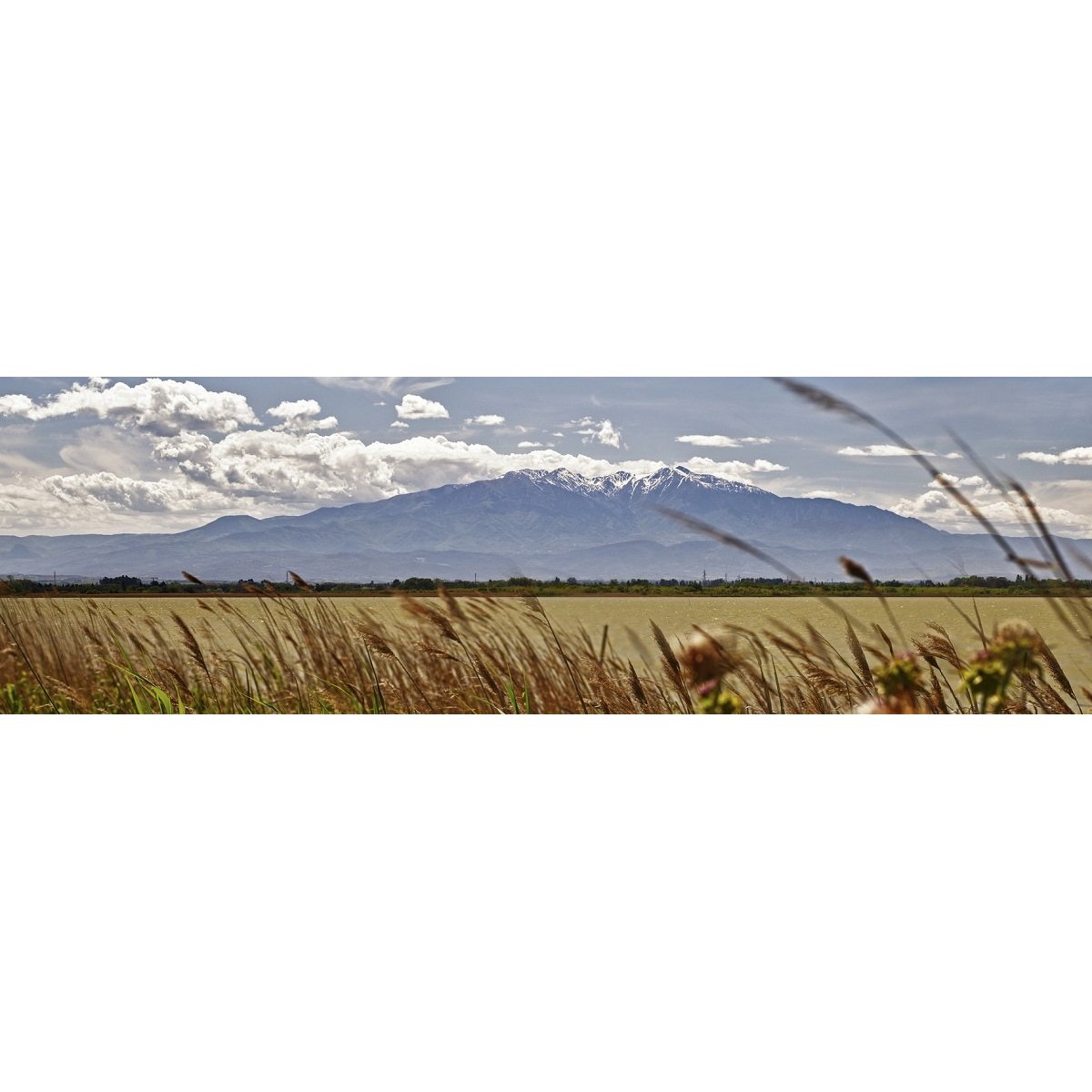 Tableau sur toile vu sur le Canigou 30x97 cm