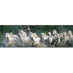 Tableau sur toile chevaux Camargue 30x97 cm