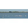 Tableau sur toile flamant rose Camarguais 30x97 cm