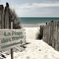 Tableau sur toile la plage des dames de Noirmoutier 30x30 cm