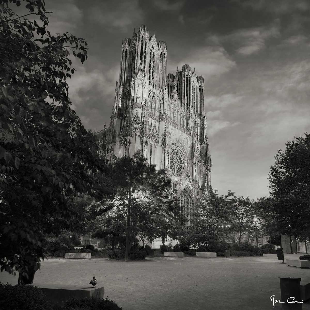 Tableau sur toile cathédrale de Reims nuit 65x65 cm