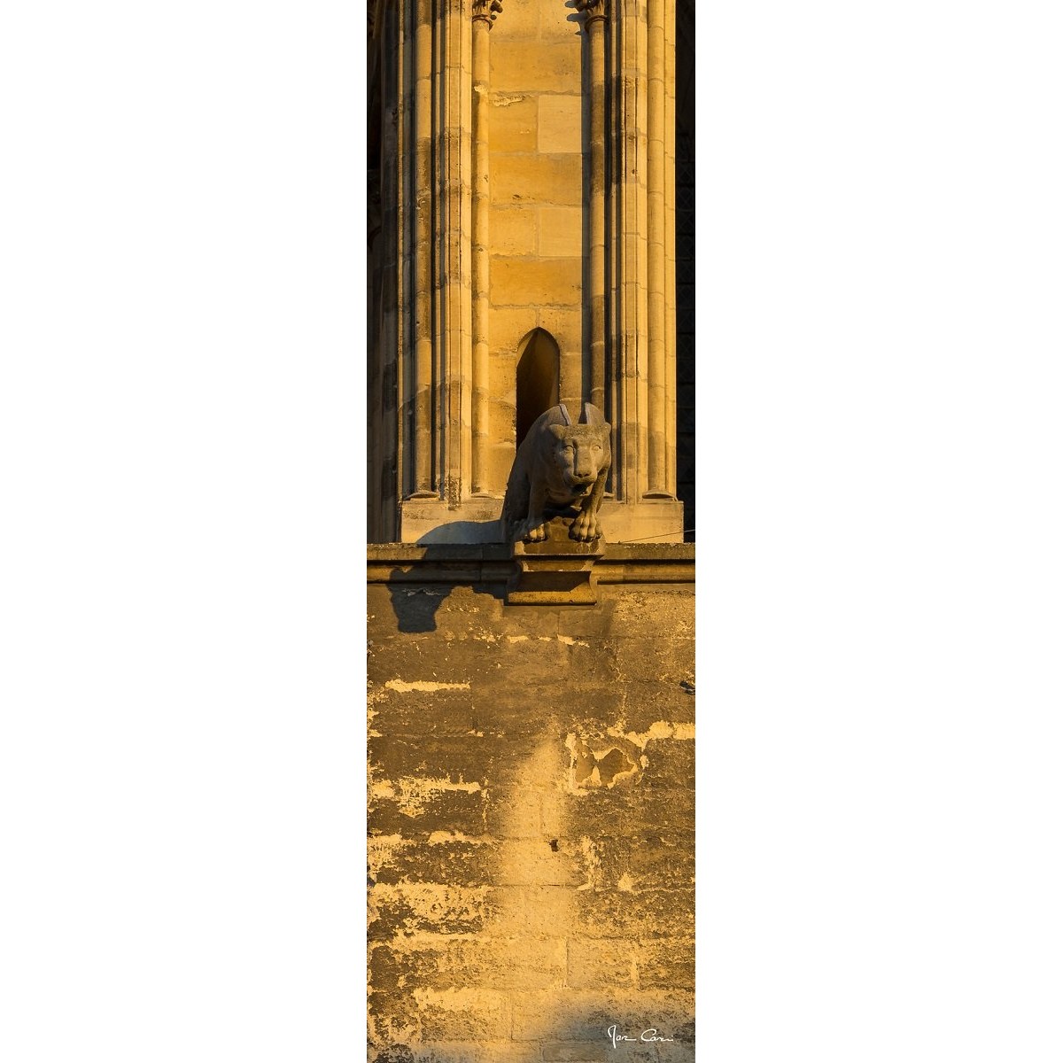 Tableau sur toile gargouille 30x97 cm Tableau sur toile gargouille 30x97 cm