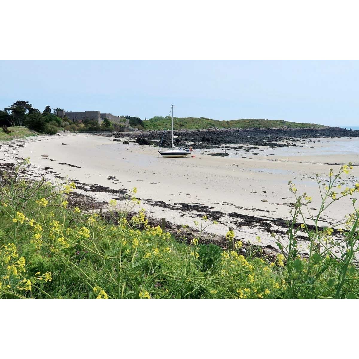 Tableau sur toile plage port Homard 65x97 cm