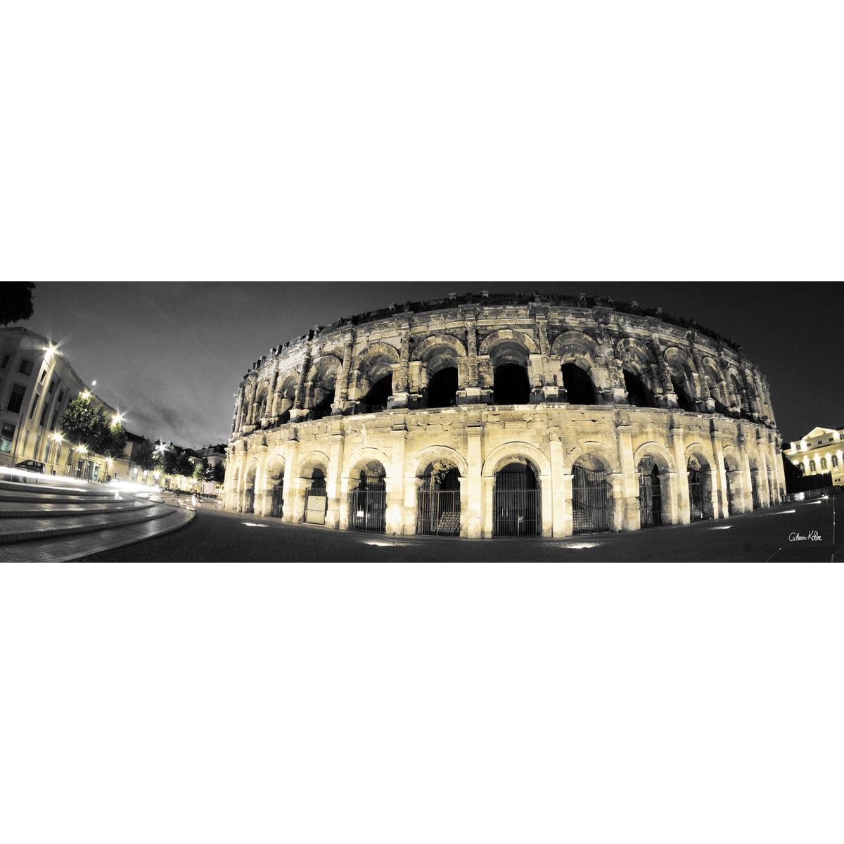 Tableau sur toile arènes Nîmes