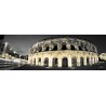 Tableau sur toile arènes Nîmes