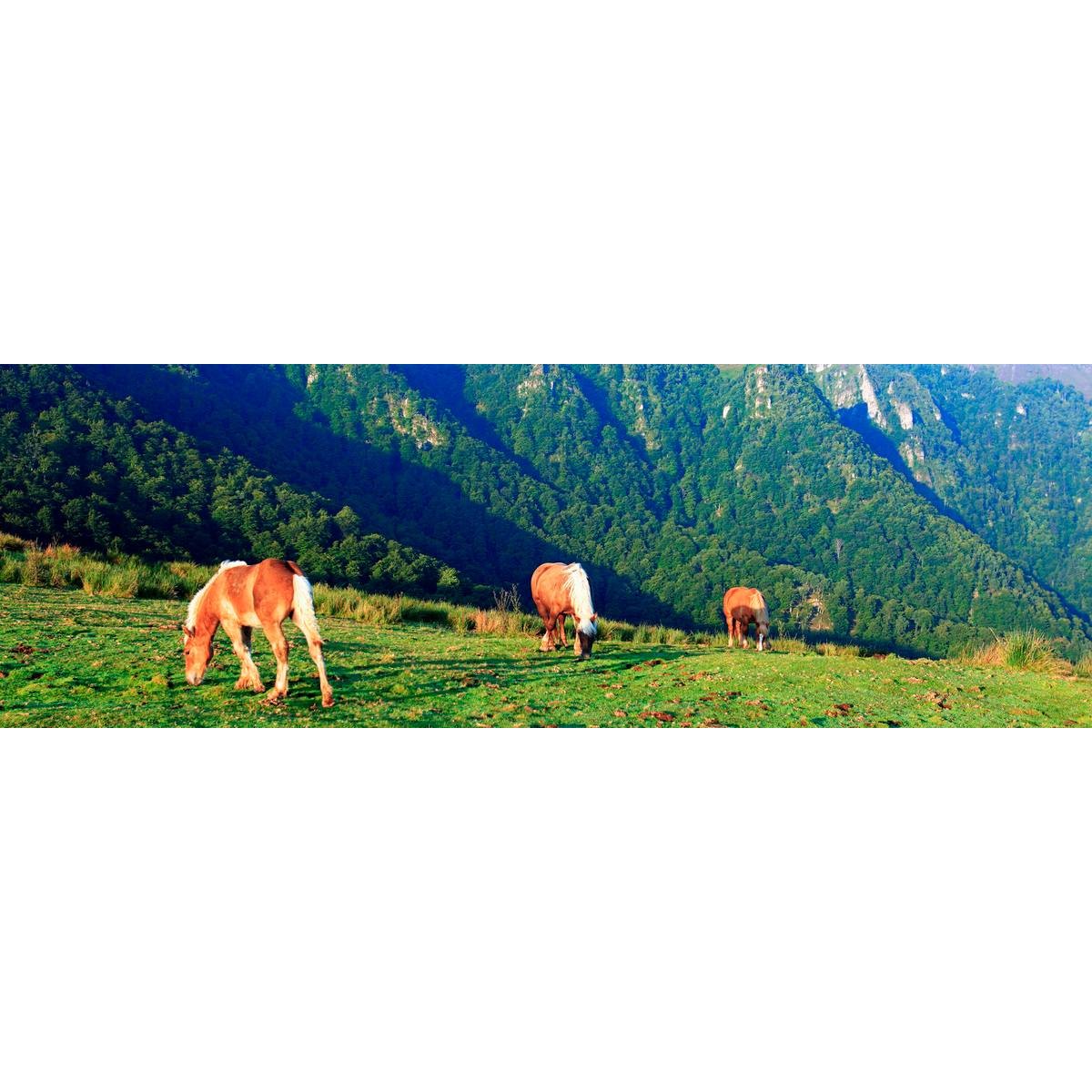 Tableau sur toile chevaux Gavarnie