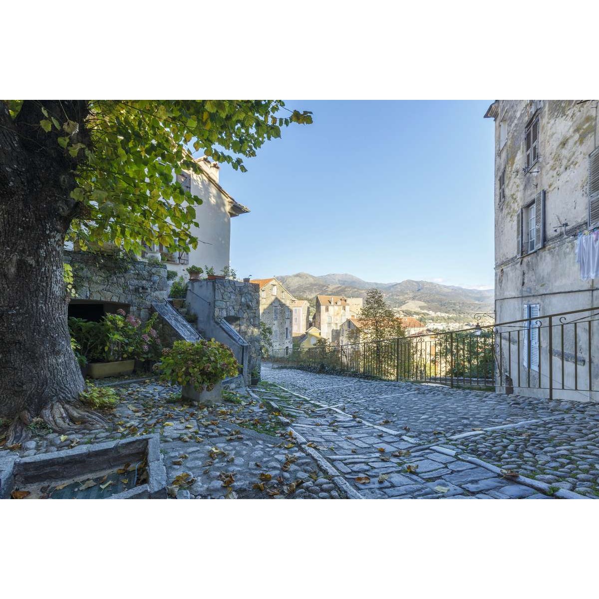 Tableau sur toile vieille rue Corte