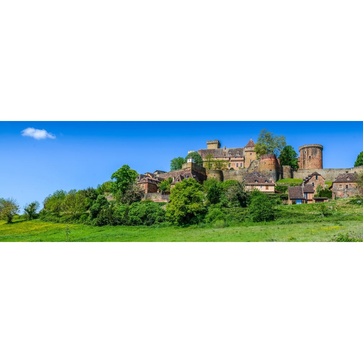 Tableau sur toile château Castelnau