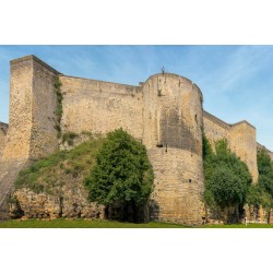 Tableau mural synthétique château de Caen