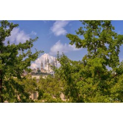 Tableau mural Fourvière