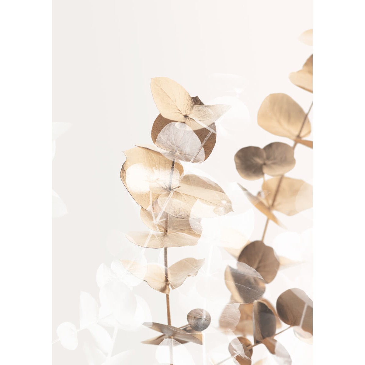Tableau mural charme clair Tableau mural charme clair
