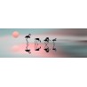 Tableau sur toile flamants roses