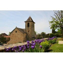 Tableau mural Capdenac village