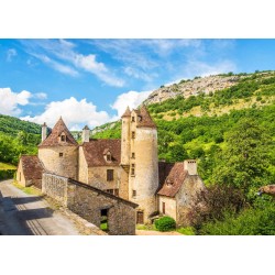 Tableau mural château Limargue