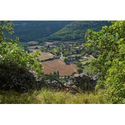 Tableau mural vue sur la vallée du célé