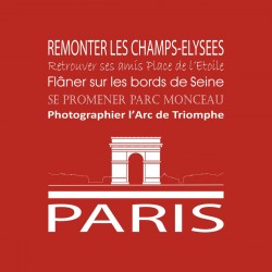 Tableau sur toile Paris Arc de Triomphe rouge 30x30 cm