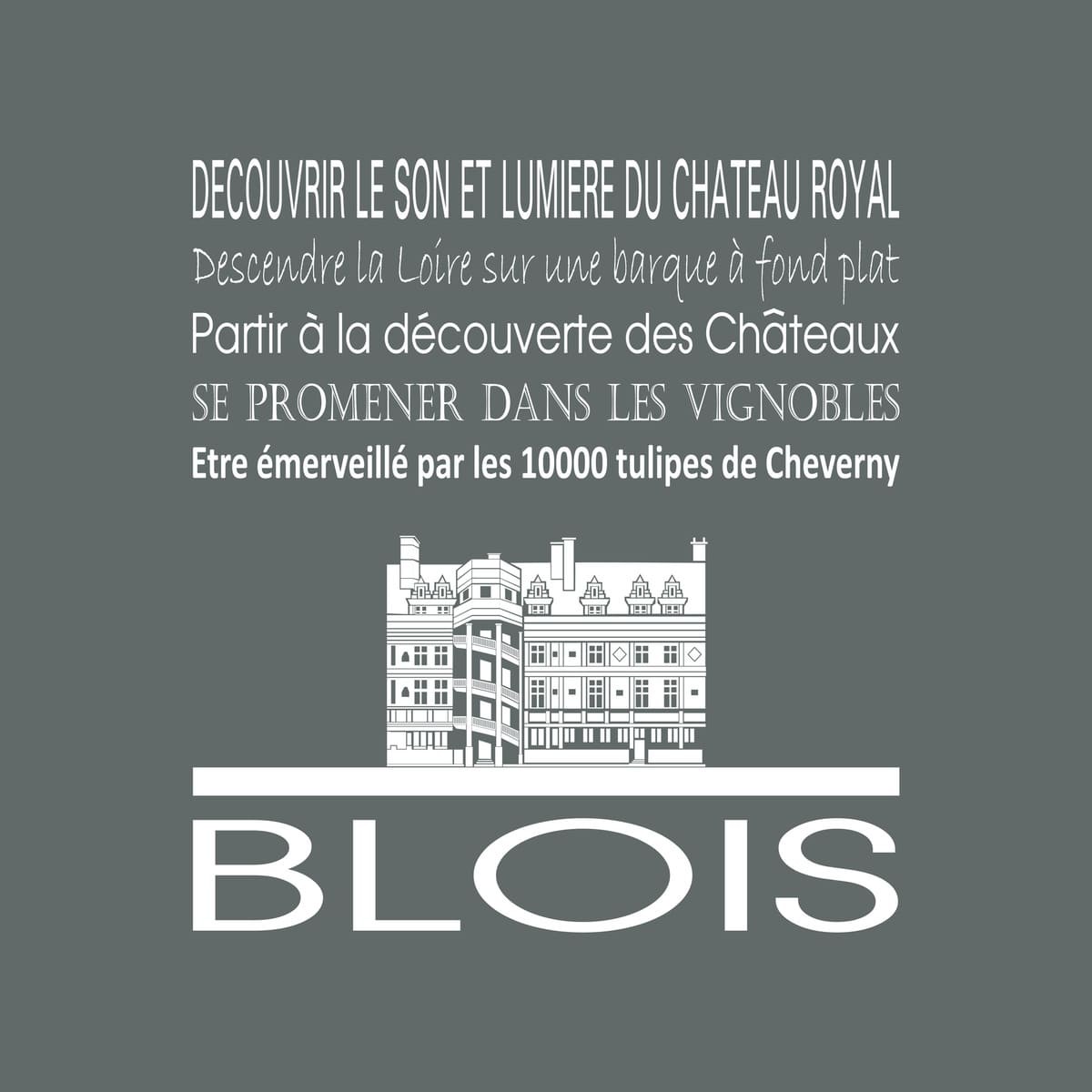 Tableau sur toile Blois gris 30x30 cm