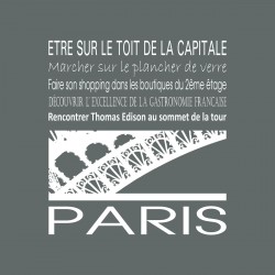 Tableau sur toile Paris Tour Eiffel gris 30x30 cm