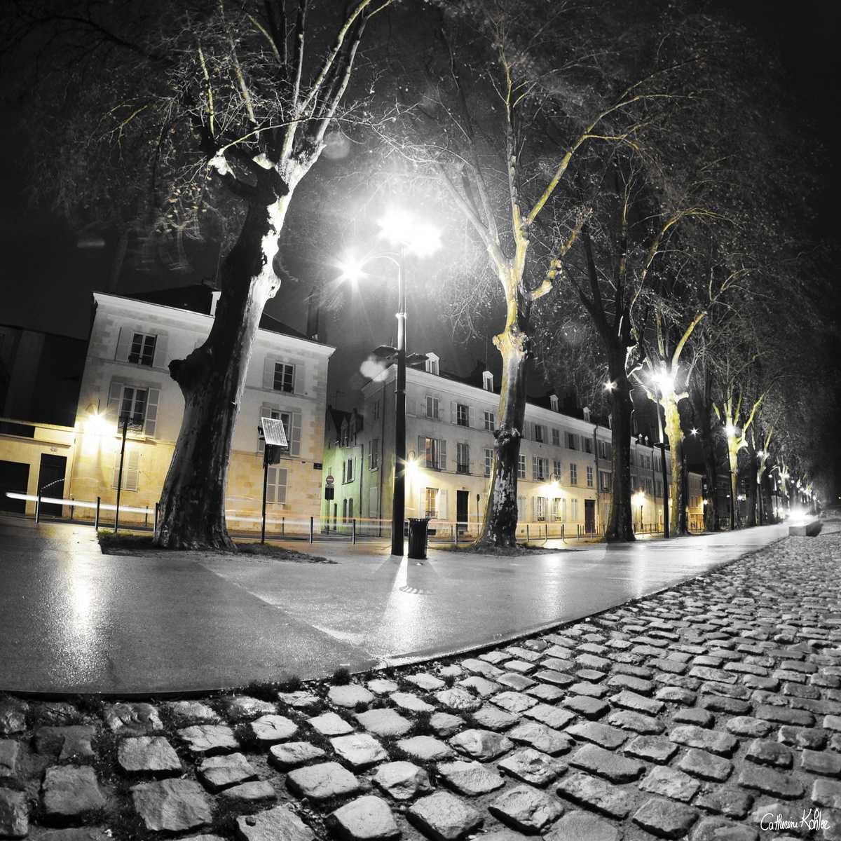 Tableau mural lampadaire quai du châtelet 45x45 cm Tableau mural lampadaire quai du châtelet 45x45 cm