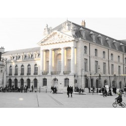 Tableau mural place de la libération Dijon 45x65 cm