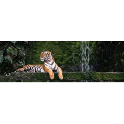 Tableau sur toile tigre du bengale