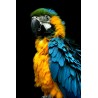 Tableau mural perroquet | Photoexpression