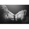 Tableau mural bisou de lion | Photoexpression