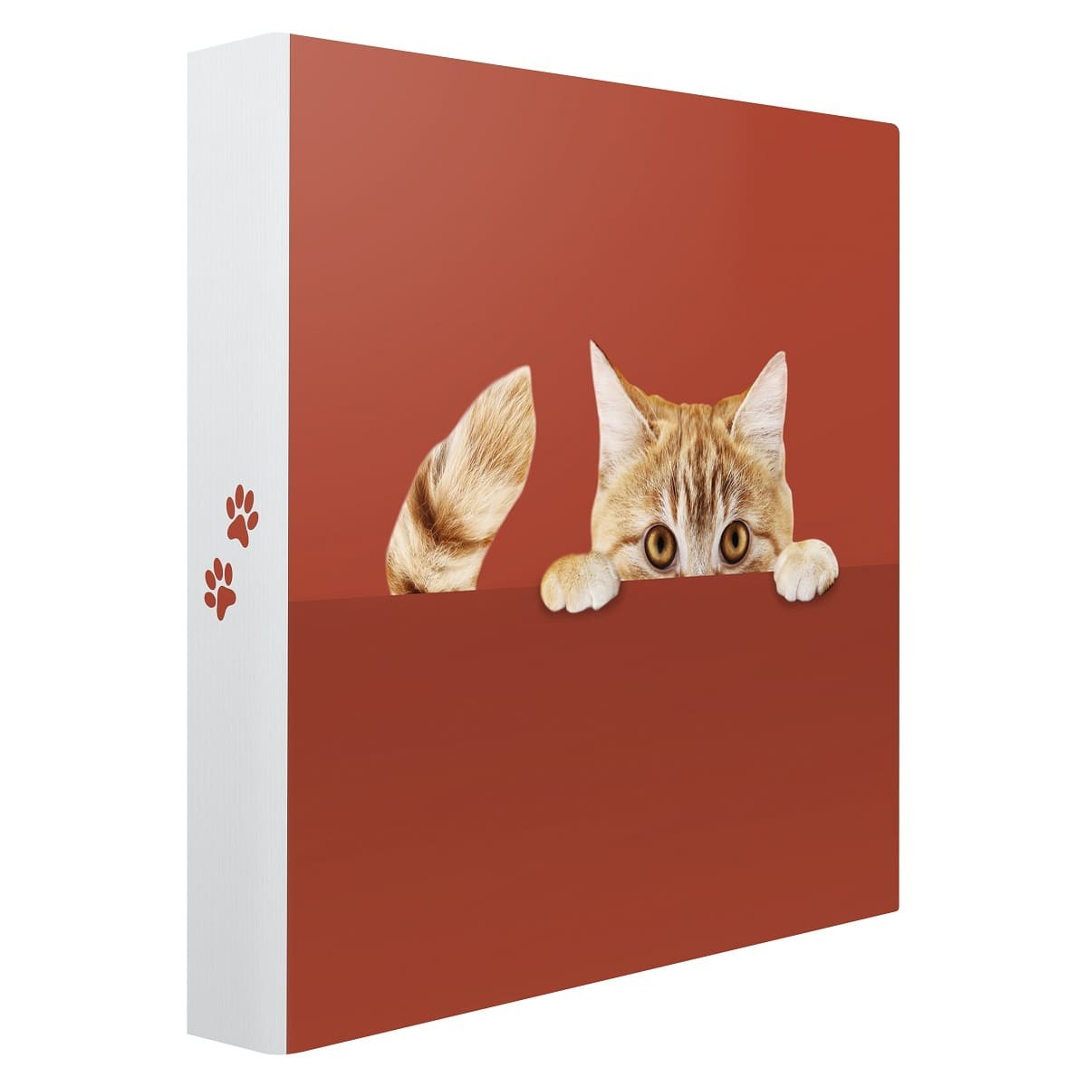Album photos pochettes cache-cache chat 200 photos 11,5x15 cm biais Album photos pochettes cache-cache chat 200 photos 11,5x15 cm biais