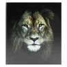 Album photos pochettes lion 200 photos 11,5x15 cm face Album photos pochettes lion 200 photos 11,5x15 cm face