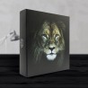 Album photos pochettes lion 200 photos 11,5x15 cm ambiance Album photos pochettes lion 200 photos 11,5x15 cm ambiance