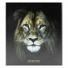 Album photos pochettes lion 200 photos 11,5x15 cm dos Album photos pochettes lion 200 photos 11,5x15 cm dos