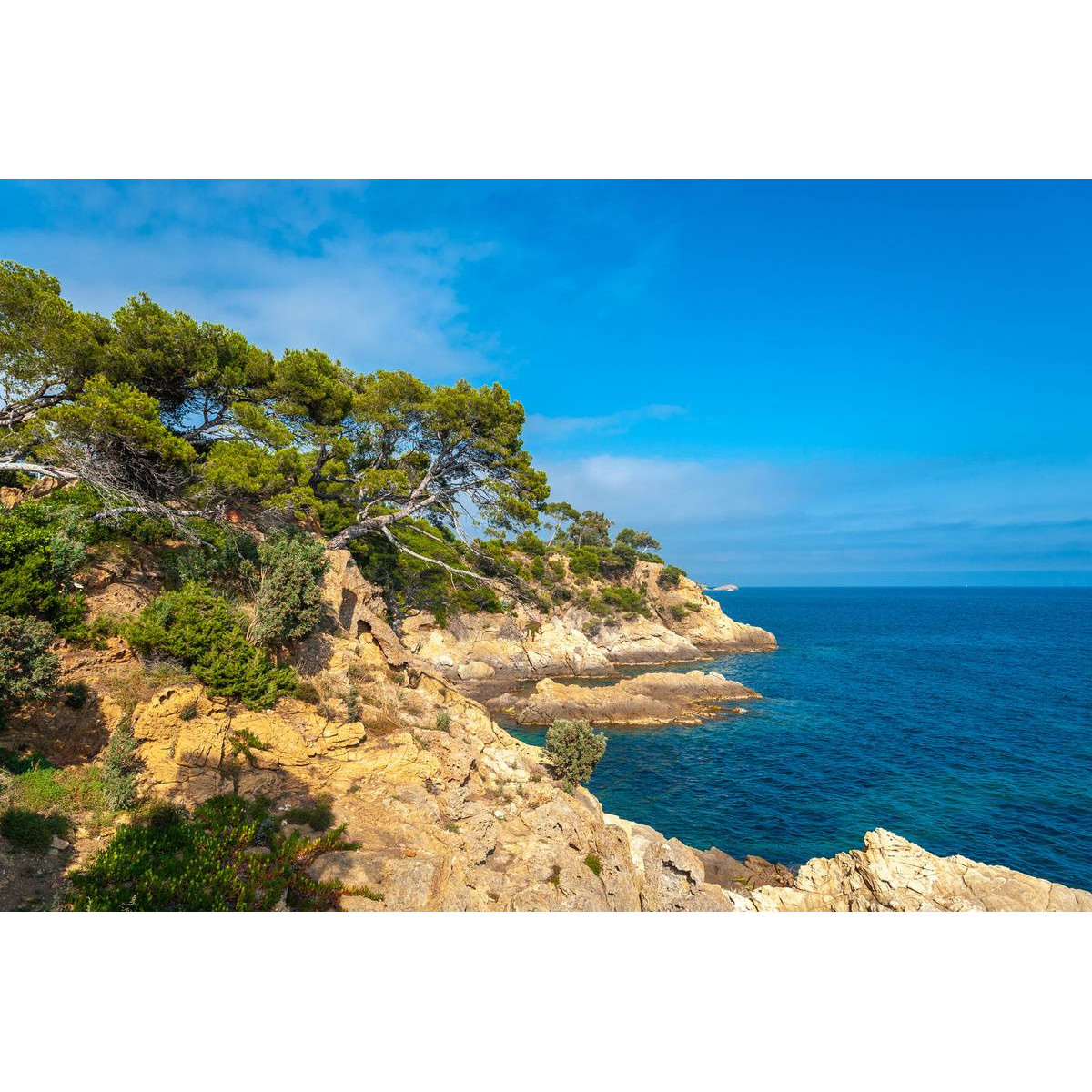Tableau sur toile le Lavandou de jour 45x65 cm Tableau sur toile le Lavandou de jour 45x65 cm