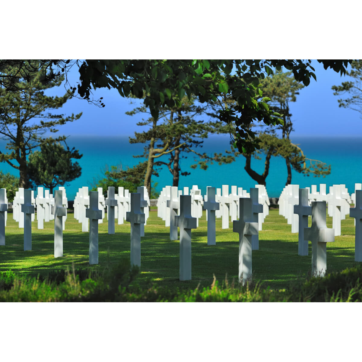 Tableau mural cimetière Américain de Colleville-sur-Mer 65x97 cm Tableau mural cimetière Américain de Colleville-sur-Mer 65x97 cm