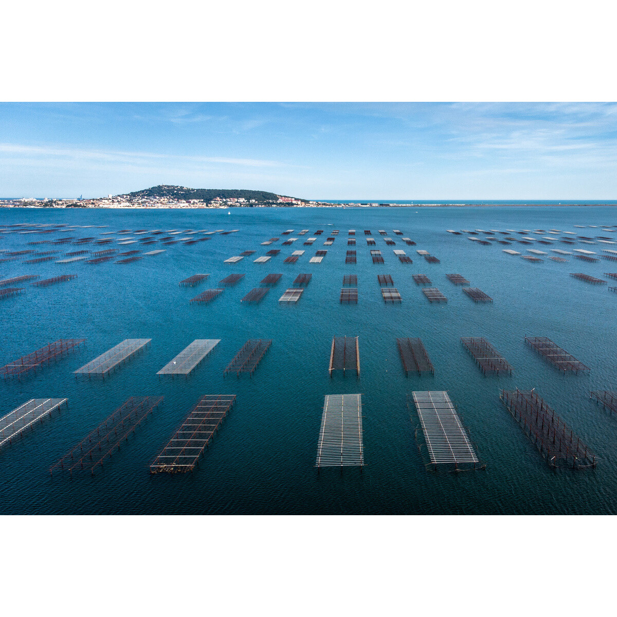 Tableau sur toile bassin de Thau Tableau sur toile bassin de Thau