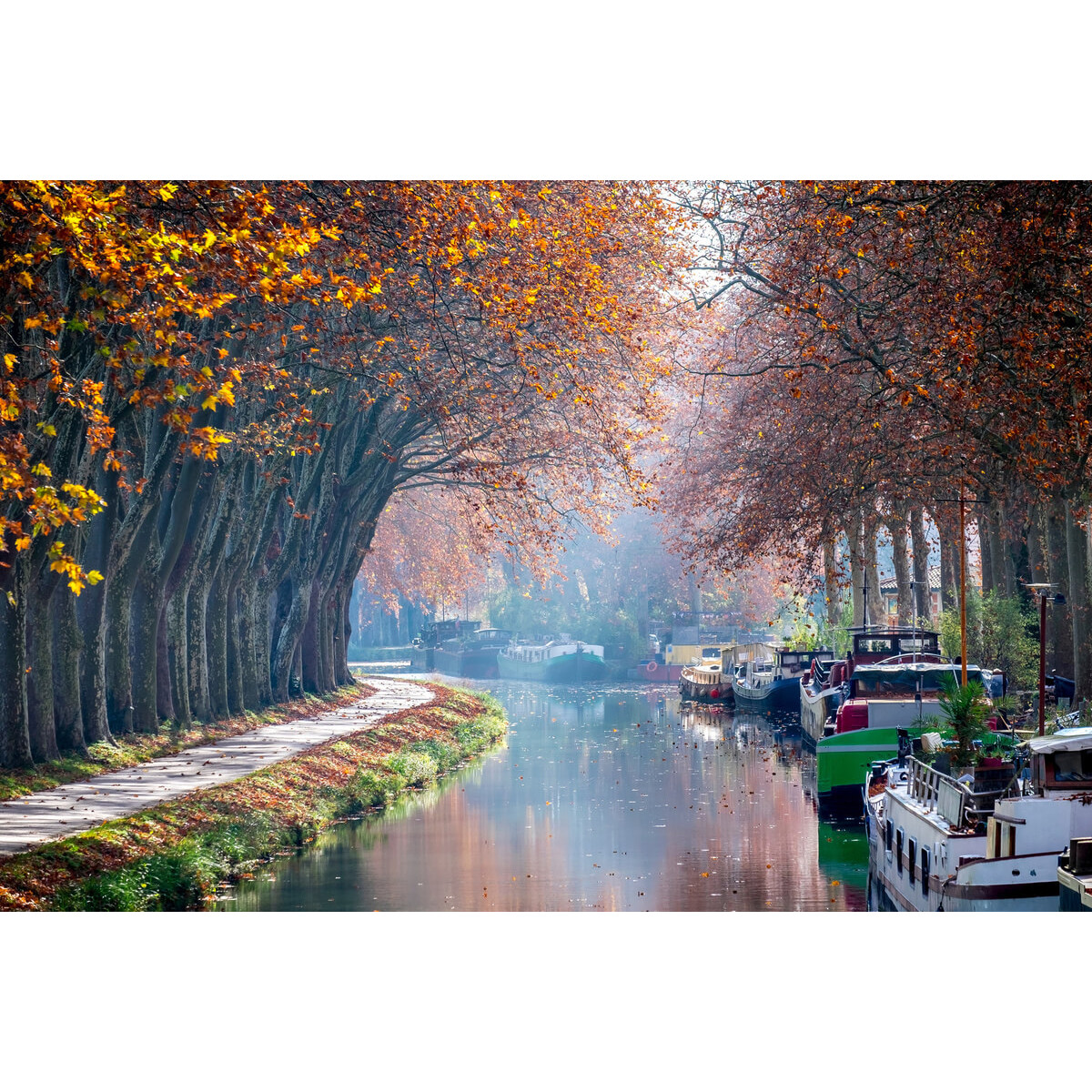 Tableau sur toile canal du midi