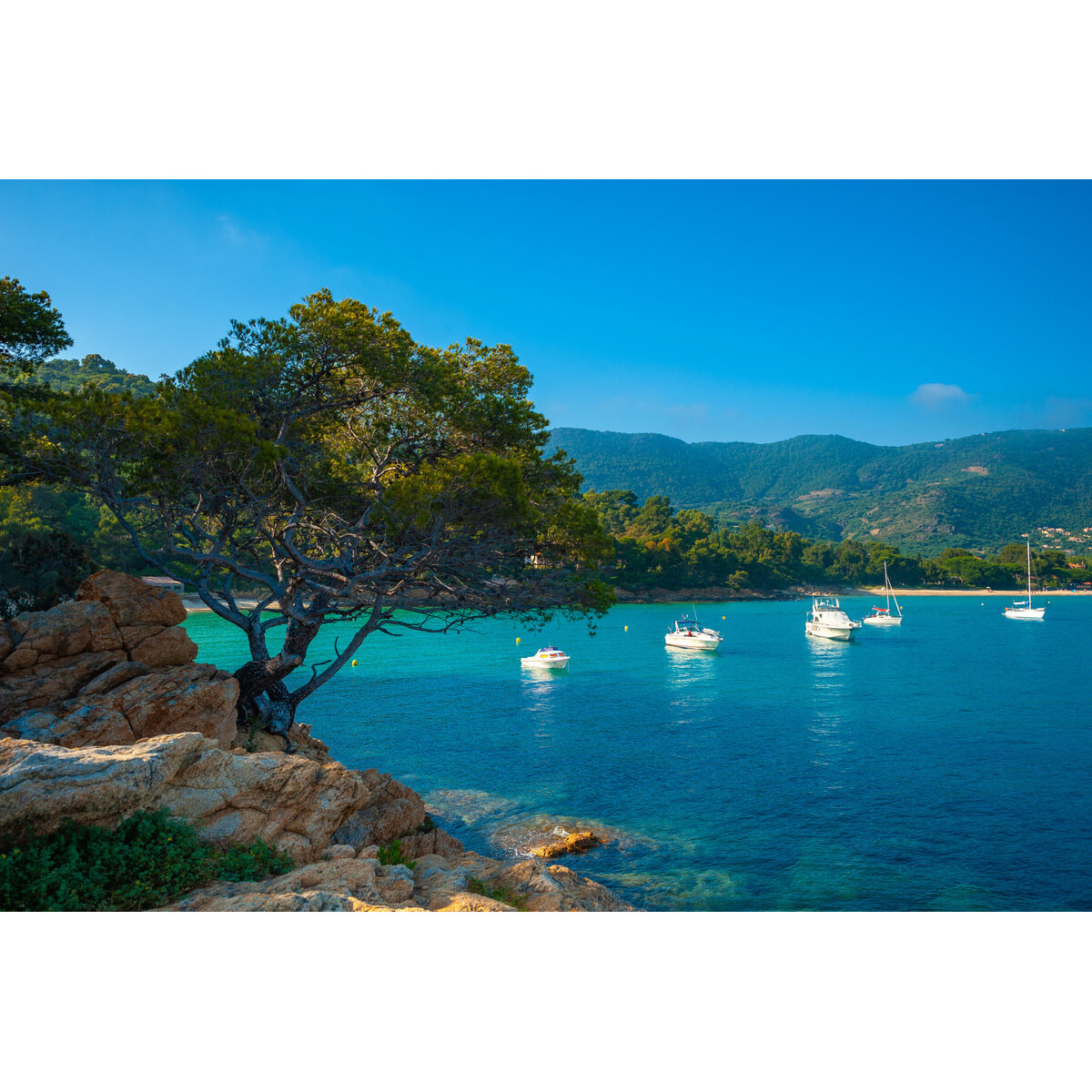 Tableau sur toile crique du Lavandou Tableau sur toile crique du Lavandou