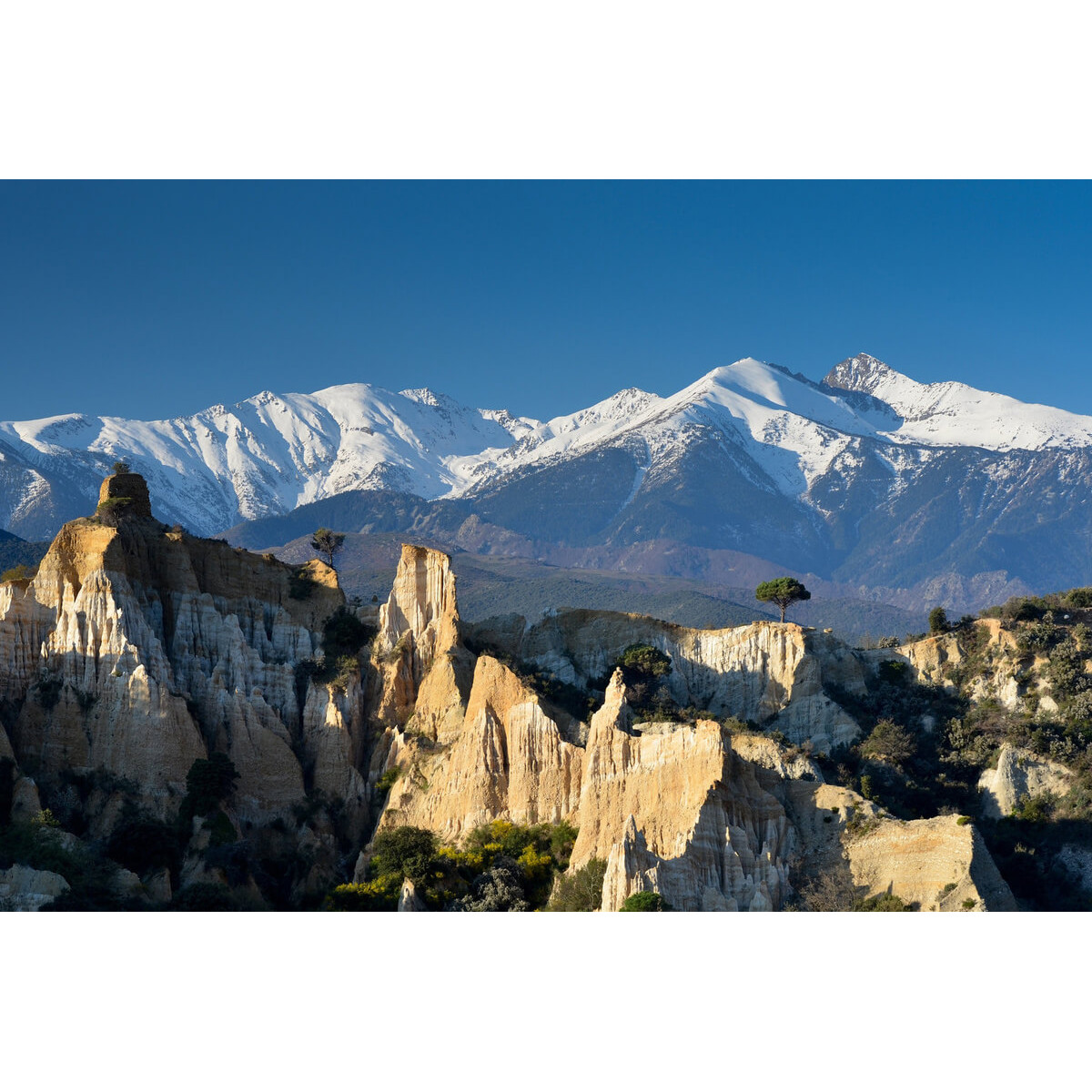 Tableau sur toile le Canigou