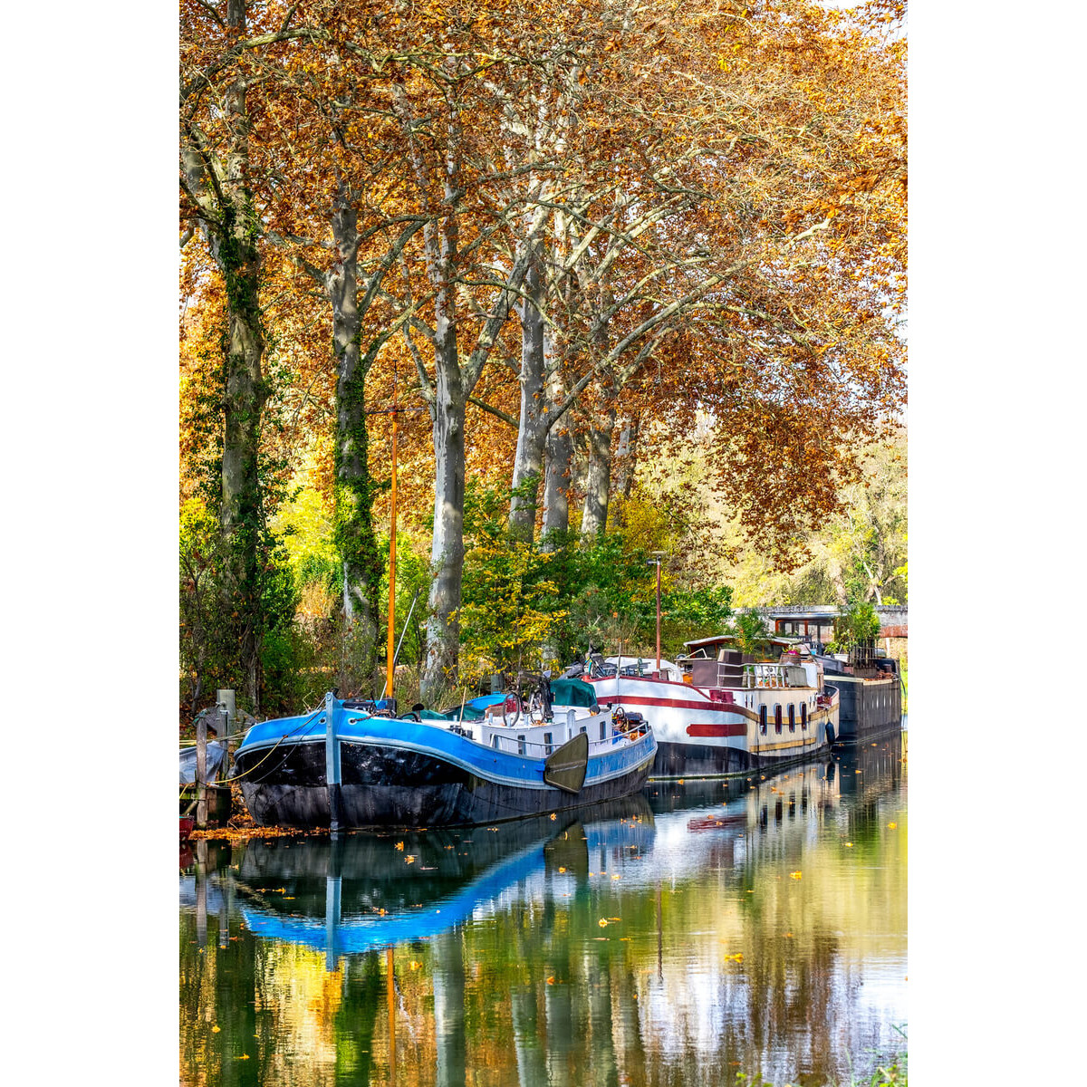 Tableau sur toile péniches canal du midi