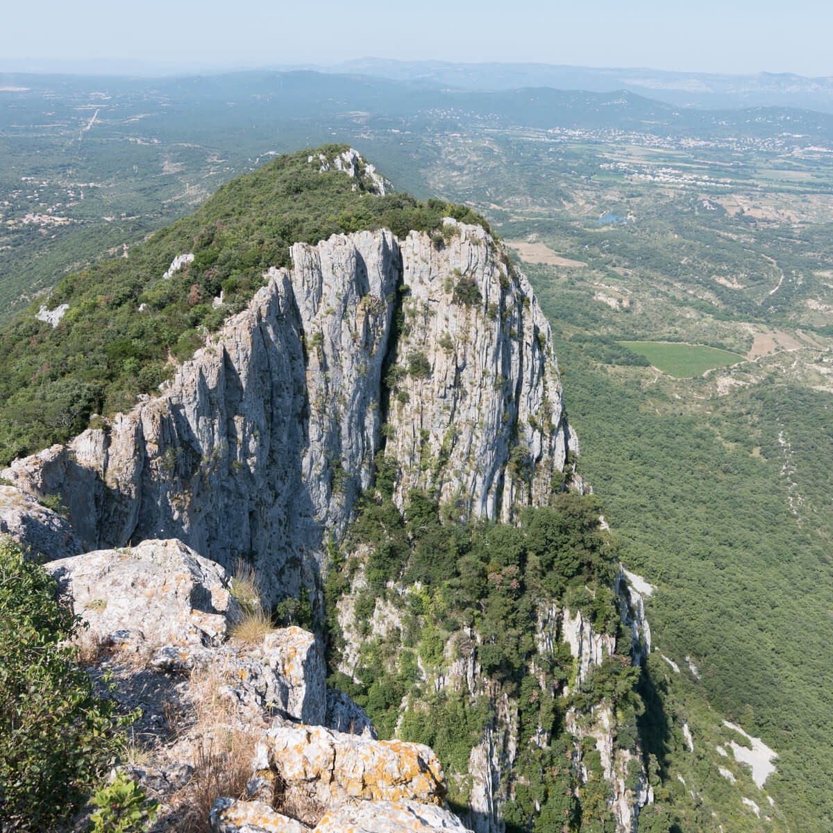 Tableau sur toile Pic Saint-Loup