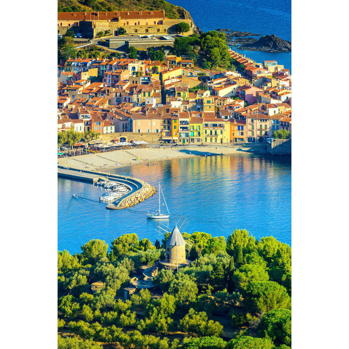 Tableau sur toile vue sur la plage de Collioure