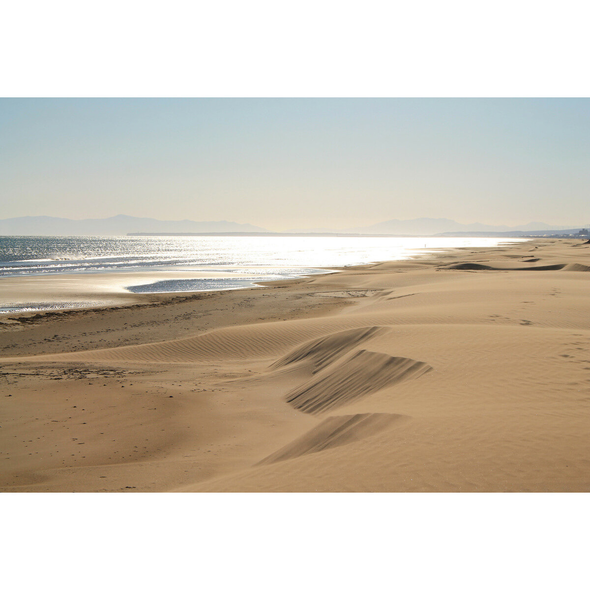 Tableau sur toile plage de Gruissan