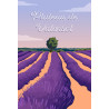 Tableau mural illustration Valensole