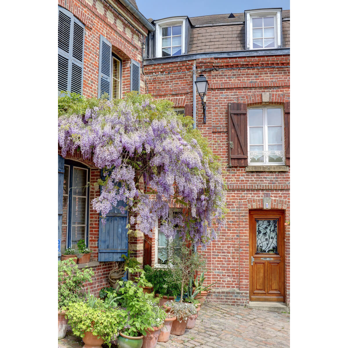 Tableau mural maison Glycine Amiens Tableau mural maison Glycine Amiens