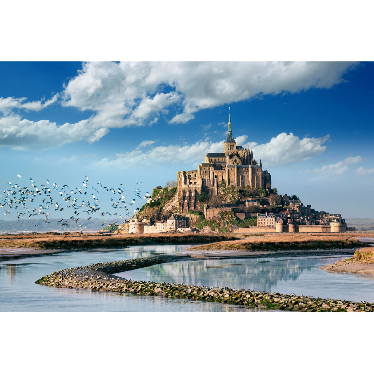 Tableau mural Mont-Saint-Michel marée basse