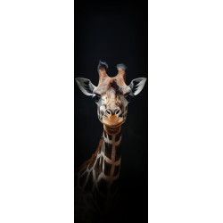 Tableau sur toile portrait girafe